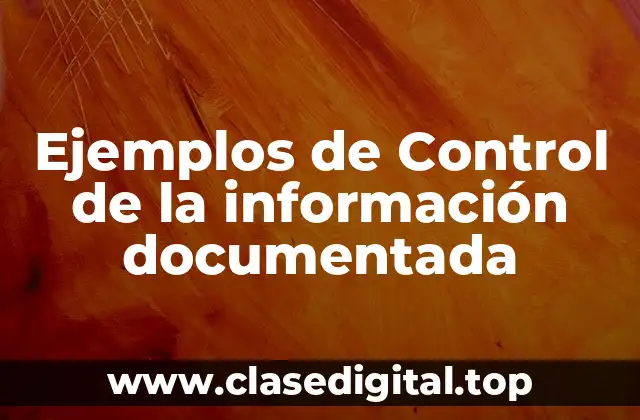 Ejemplos de Control de la información documentada