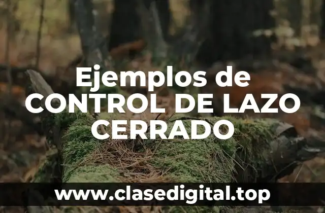 Ejemplos de CONTROL DE LAZO CERRADO