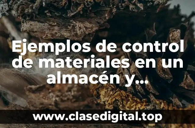 Ejemplos de control de materiales en un almacén y Significado