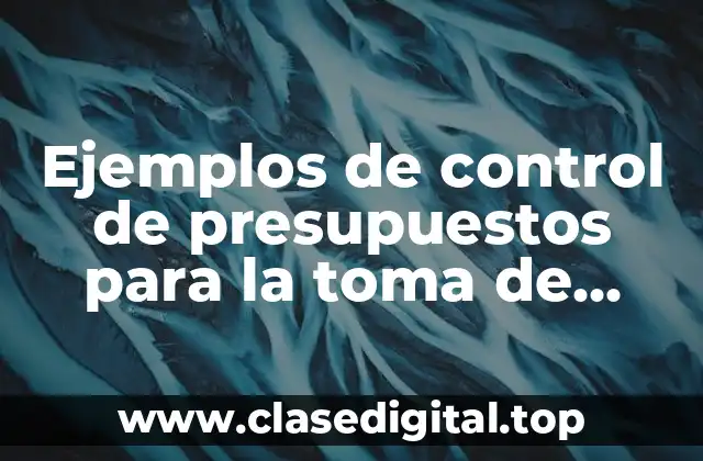 Ejemplos de control de presupuestos para la toma de decisiones