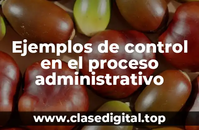 Ejemplos de control en el proceso administrativo