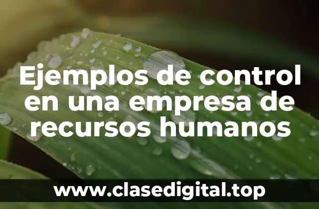 Ejemplos de control en una empresa de recursos humanos