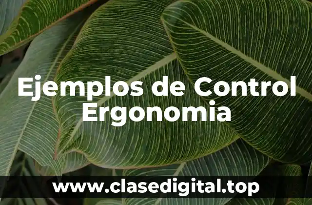 Ejemplos de Control Ergonomia