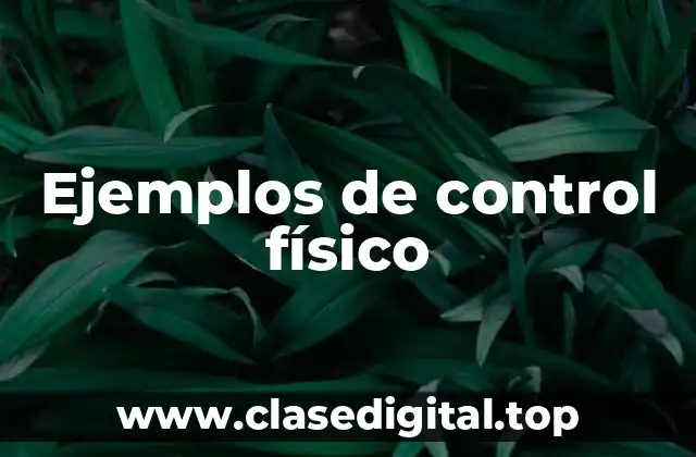 Ejemplos de control físico