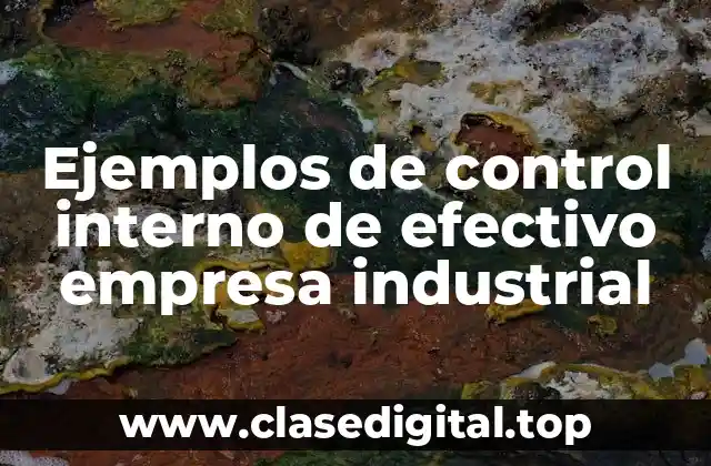 Ejemplos de control interno de efectivo empresa industrial