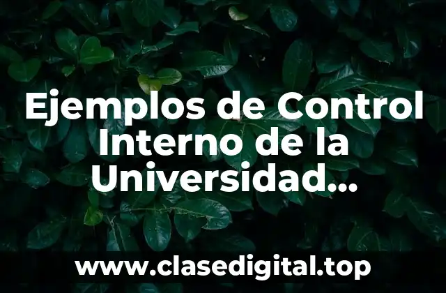 Ejemplos de Control Interno de la Universidad Veracruzana