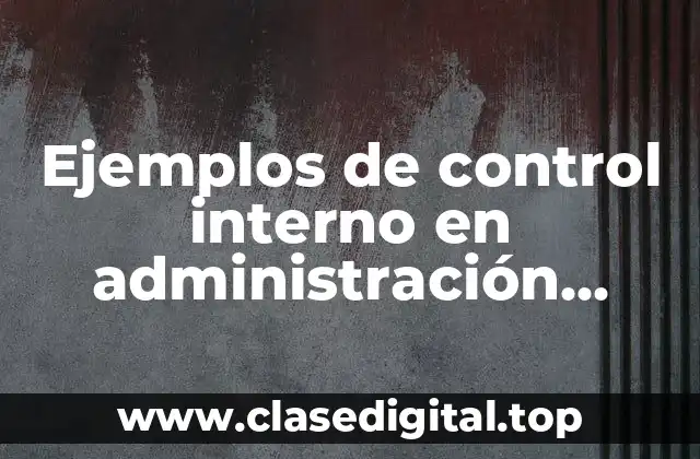 Ejemplos de control interno en administración pública