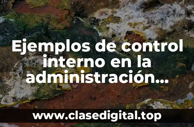 Ejemplos de control interno en la administración pública