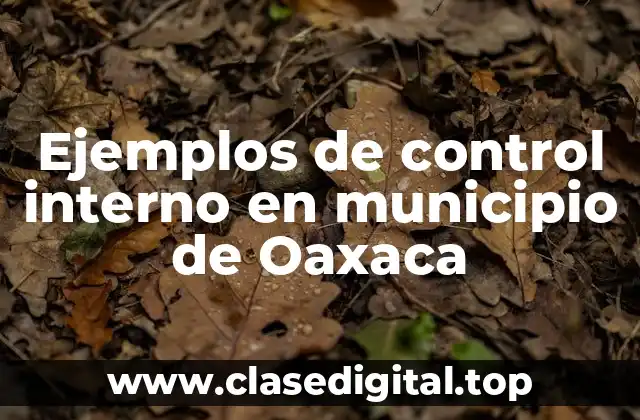 Ejemplos de control interno en municipio de Oaxaca