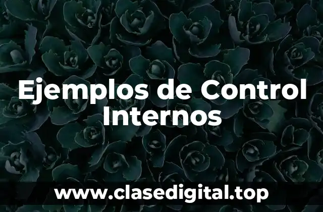 Ejemplos de Control Internos