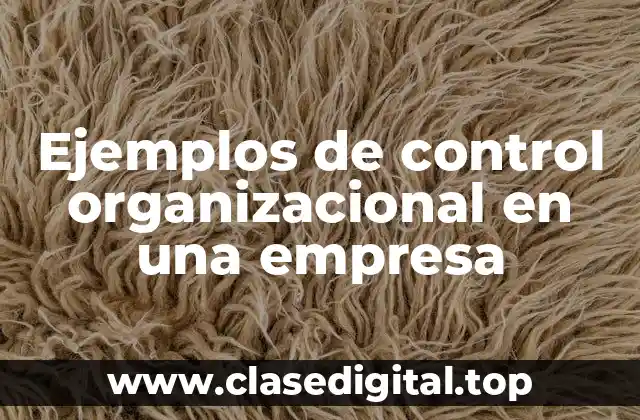 Ejemplos de control organizacional en una empresa