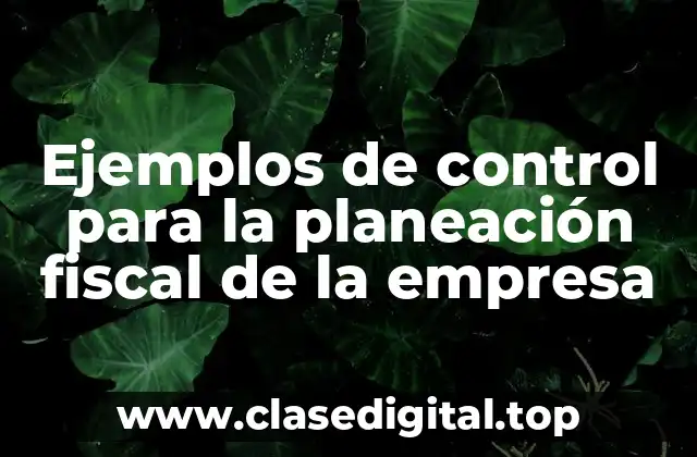 Ejemplos de control para la planeación fiscal de la empresa