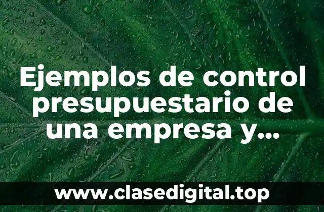 Ejemplos de control presupuestario de una empresa y Significado