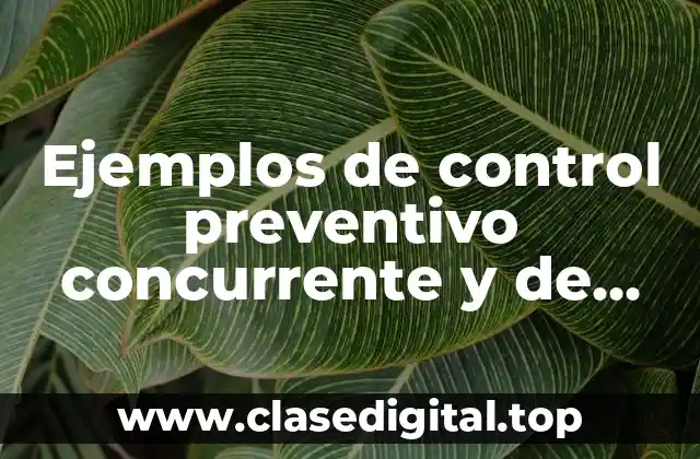Ejemplos de control preventivo concurrente y de retroalimentación