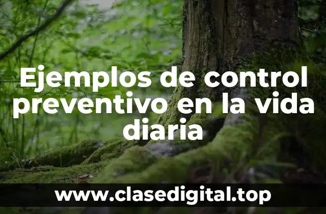 Ejemplos de control preventivo en la vida diaria