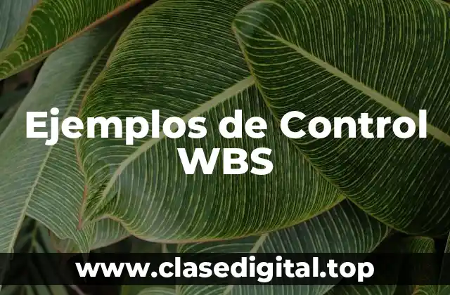 Ejemplos de Control WBS