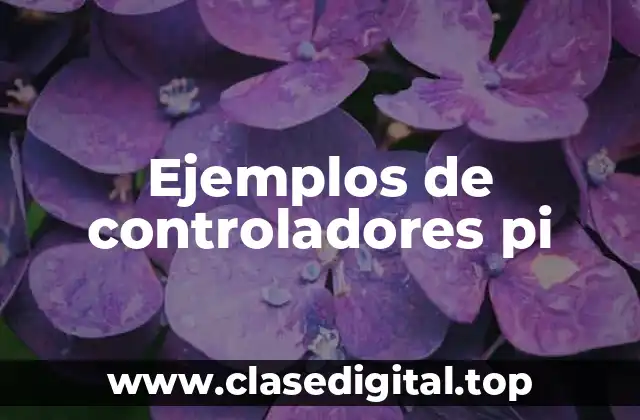 Ejemplos de controladores pi