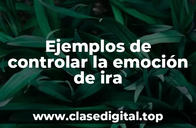 Ejemplos de controlar la emoción de ira
