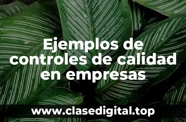 Ejemplos de controles de calidad en empresas