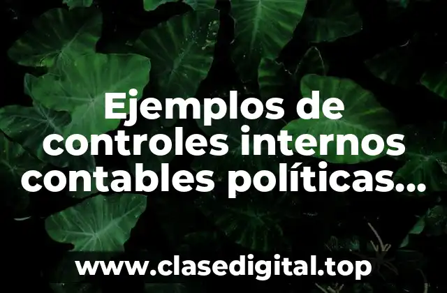 Ejemplos de controles internos contables políticas de contabilidad