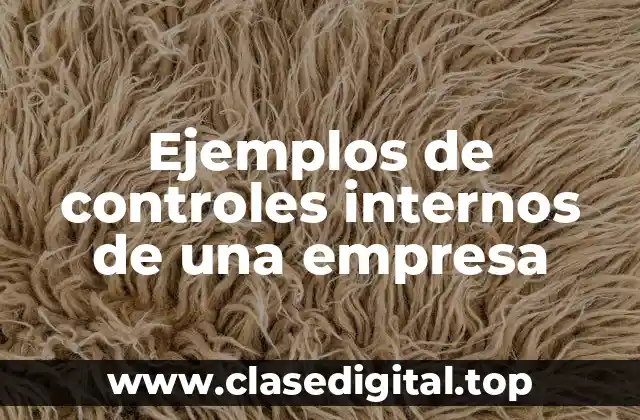 Ejemplos de controles internos de una empresa
