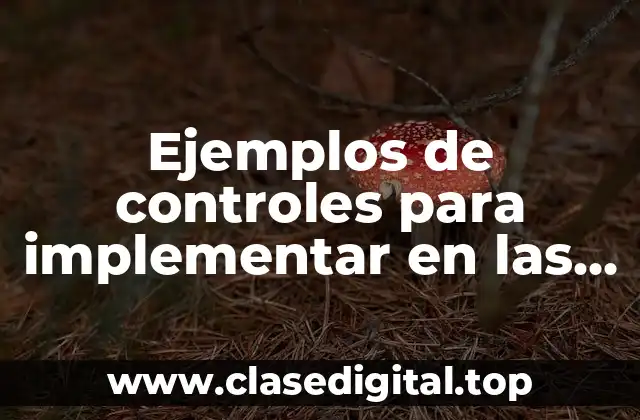 Ejemplos de controles para implementar en las cuentas bancarias