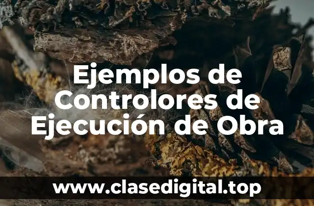 Ejemplos de Controlores de Ejecución de Obra