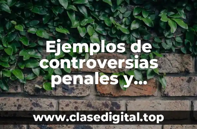 Ejemplos de controversias penales y Significado