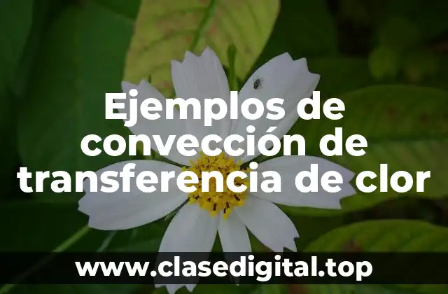 Ejemplos de convección de transferencia de clor