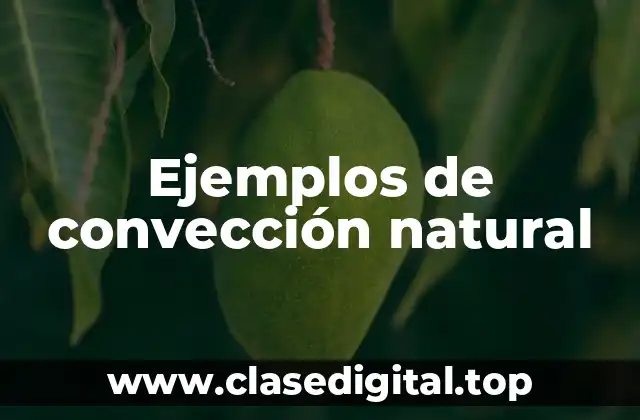 Ejemplos de convección natural