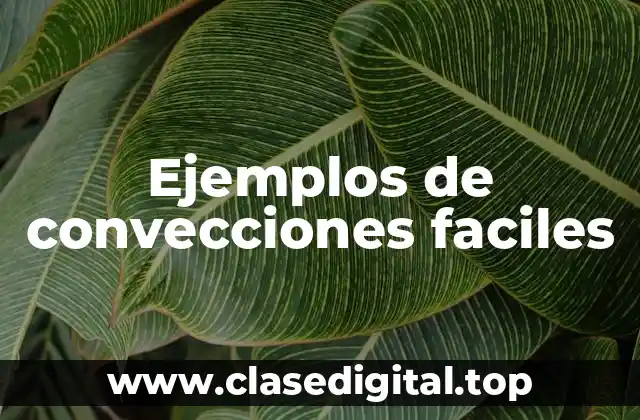 Ejemplos de convecciones faciles
