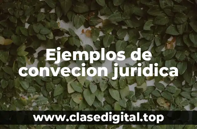 Ejemplos de convecion juridica