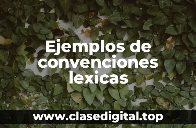 Ejemplos de convenciones lexicas