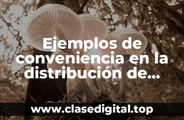 Ejemplos de conveniencia en la distribución de servicios