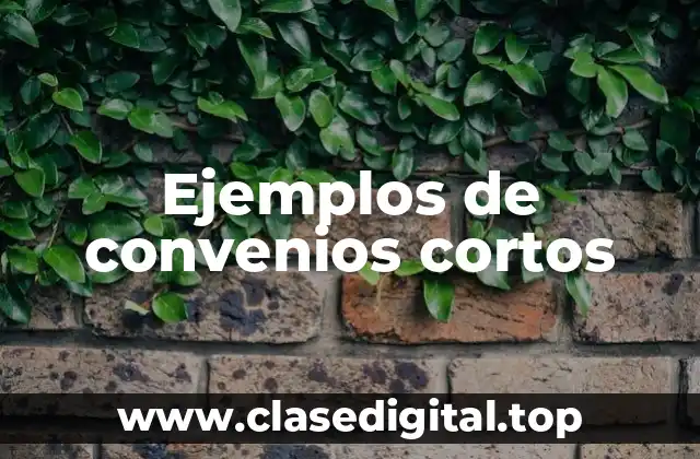 Ejemplos de convenios cortos