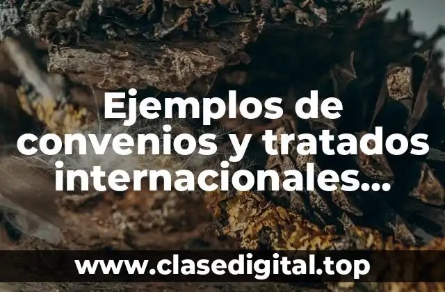 Ejemplos de convenios y tratados internacionales consulares y Significado