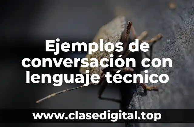 Ejemplos de conversación con lenguaje técnico