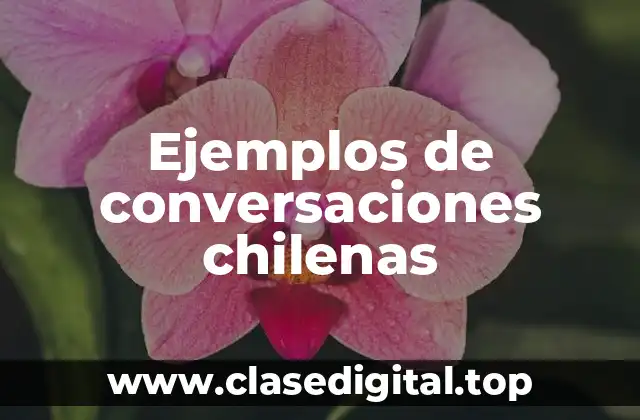 Ejemplos de conversaciones chilenas