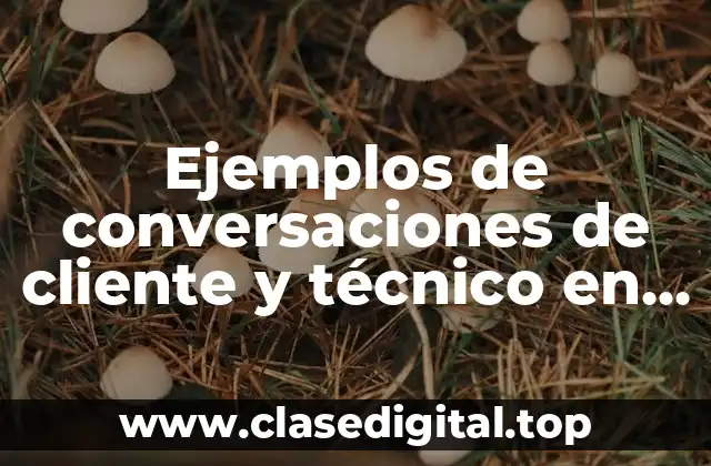 Ejemplos de conversaciones de cliente y técnico en inglés