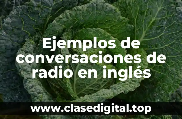 Ejemplos de conversaciones de radio en inglés