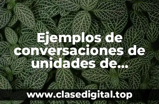 Ejemplos de conversaciones de unidades de informática