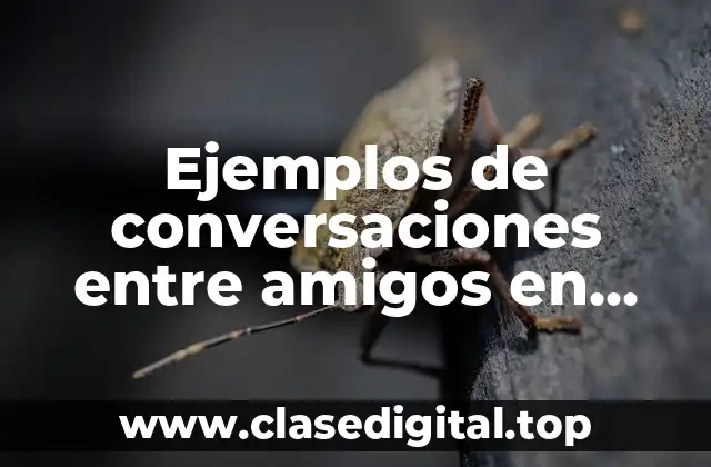 Ejemplos de conversaciones entre amigos en inglés
