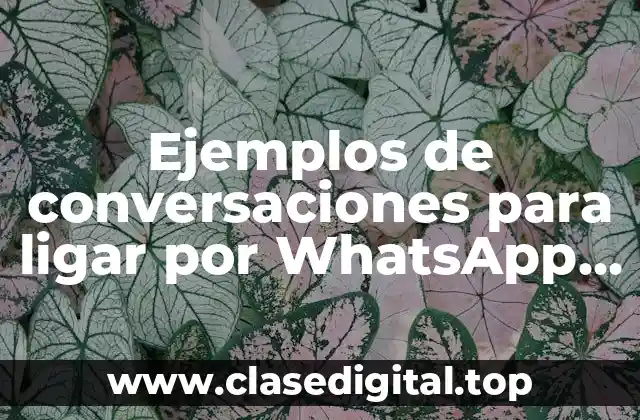 Ejemplos de conversaciones para ligar por WhatsApp y Significado