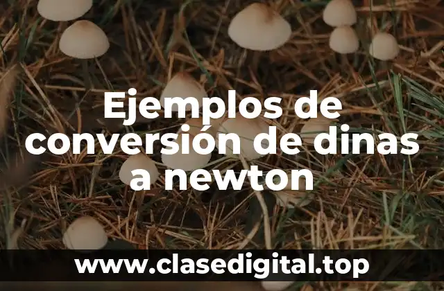 Ejemplos de conversión de dinas a newton