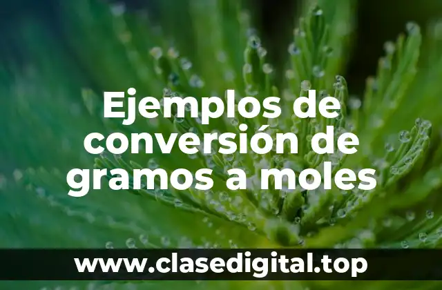 Ejemplos de conversión de gramos a moles