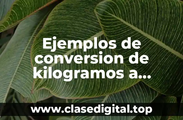 Ejemplos de conversion de kilogramos a decagramos