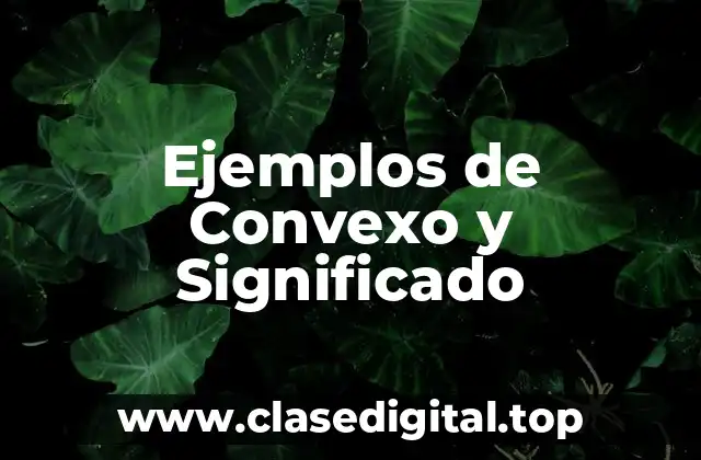 Ejemplos de Convexo y Significado