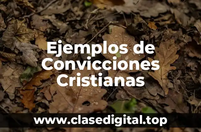 Ejemplos de Convicciones Cristianas