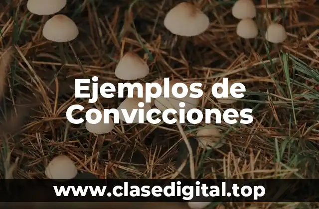 Ejemplos de Convicciones