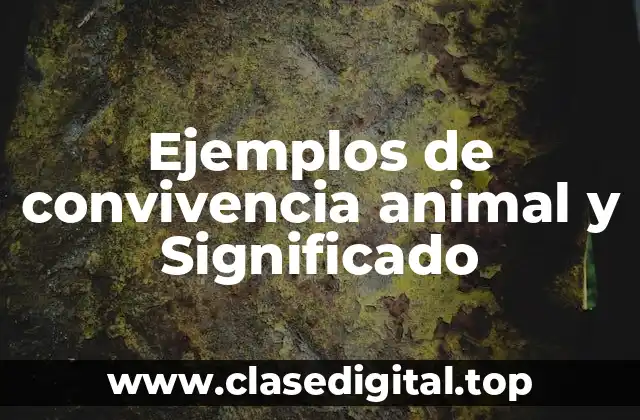 Ejemplos de convivencia animal y Significado